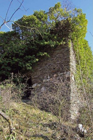 Zwei Turmruinen und Mauerreste; Lorch, Oberflecken, Kapellenberg