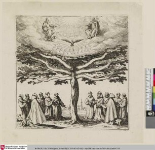 [Der Baum des heiligen Franziskus; L'Arbre de sainte François]