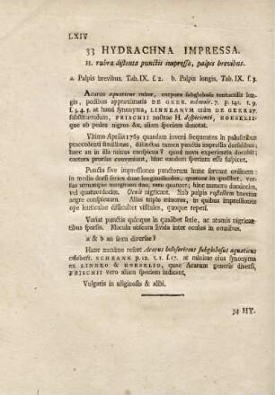 33. Hydrachna Impressa.