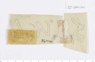 CIL XV 4774, Gelatinefolie