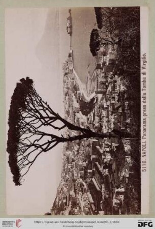 5110. NAPOLI. Panorama preso dalla Tomba di Virgilio.