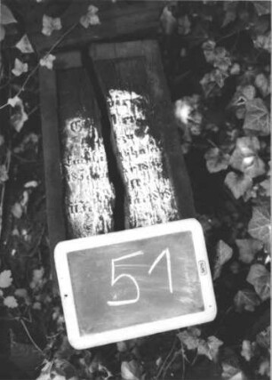 Kindergrab 51 (Detailaufnahme)