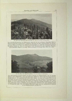 229. Blick vom Kaiserberg nach dem Arber zu