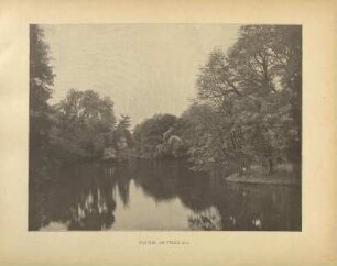 Parthie am Neuen See