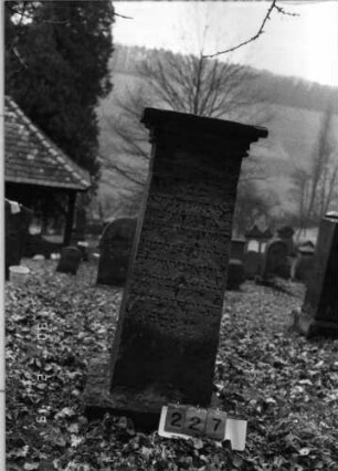 Grabstein 227