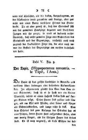 ¬Der¬ Tapir : (Hippopotamus terrestris - le Tapir, l'Anta) ; Taf. V, Fig. 3