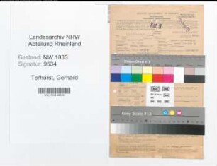 Entnazifizierung Gerhard Terhorst , geb. 15.05.1908 (Kraftfahrer)