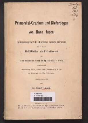 Primordial-Cranium und Kieferbogen von Rana fusca : Eine entwicklungsgeschichtliche und vergleichend-anatomische Untersuchung