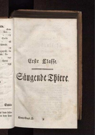 Erste Classe Säugende Thiere