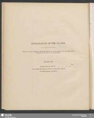 Explanation Of The Plates