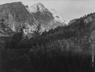 Wald und Gebirge : Blick über einen Wald auf ein Gebirge