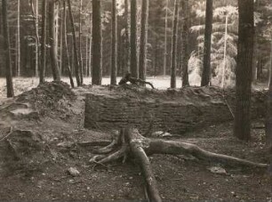 Ruine am Kirchenteich bei Wermsdorf. Mauerrest