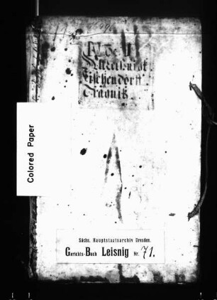 Gerichtshandelsbuch von Altleisnig, Fischendorf und Tragnitz