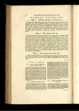 Tabula Vigesima. [bis] Tabula Vigesima Et Nono.