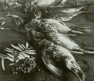 Tote Vögel