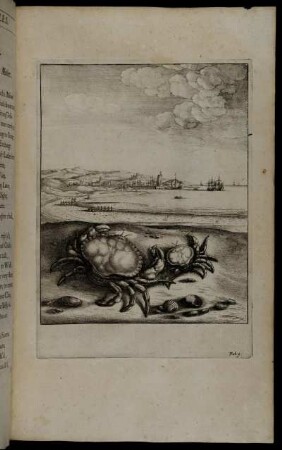 [Ill.] Fab. 9. - W. Hollar fecit 1666