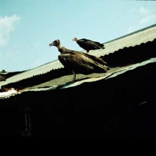 Kumasi
