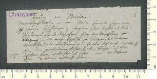 Briefsammlung von Adelbert von Chamisso und Gustav Schwab an Adelbert von Chamisso und Gustav Schwab