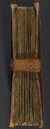 Familienalbum in lutherischer Familientradition : Familienalbum in lutherischer Familientradition. Ledereinband, goldgeprägt mit Metall-Leder-Schließe, Goldschnitt; 14,5 x 11,5 x 3 cm (um 1890/1900): Dresden: SLUB/DF 2017.A.351
