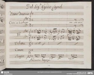 Aria: Fiumicel che s'ode appena