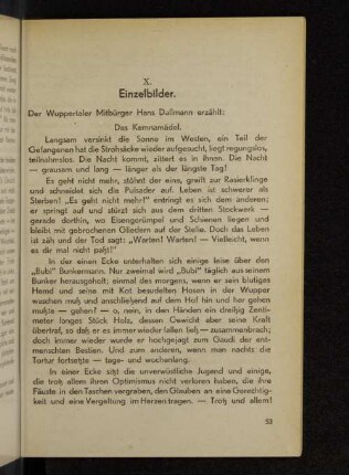 X. Einzelbilder.