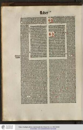 Capitulum XV.