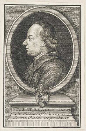 Bildnis des Pius VI. Braschiu