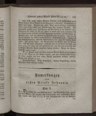 Anmerkungen zum ersten Briefe Johannis