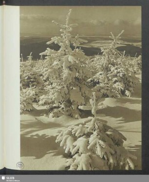 Im Winterparadies II