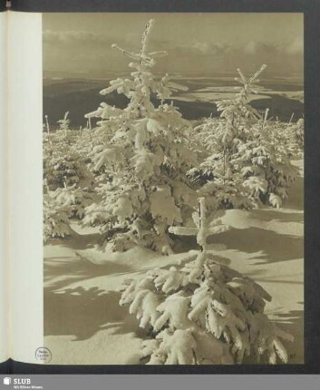 Im Winterparadies II