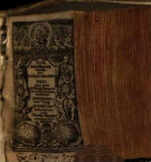 Rosae Selectissimarum virtutum, Quas Dei Mater Orbi exhibet, 1