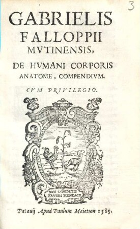 Gabrielis Falloppii Mvtinensis, De Hvmani Corporis Anatome, Compencivm
