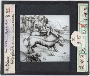 Albrecht Dürer: Missgeburt eines Schweins, B 95