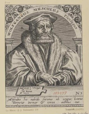 Bildnis des Wolfgangus Musculus