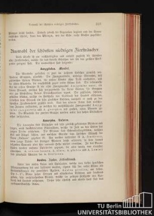Auswahl der schönsten niedrigen Ziersträucher.