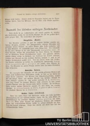 Auswahl der schönsten niedrigen Ziersträucher.