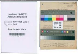 Entnazifizierung Maria Buschmann , geb. 19.09.1893 (Friseuse)