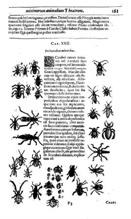 Cap. XXII. De Scarabis minoribus