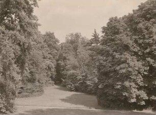 Dahlen. Schloßpark. Blick von der Schloßterrasse