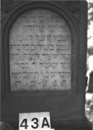 Grabstein 43 (Index: 99898767) Material: Sandstein Zustand: stark verwittert Maße HxBxT: 132x54x24 cm Beschreibung: aufgesockelte Stele, oben abgeflachter, überkragender Giebelaufsatz, darunter Blütenfries, Schriftfeld durch Zackenfries gerahmt, Sockel felsartig gearbeitet Symbolik: Blüten-, Zackenfries: Grabstein 43A