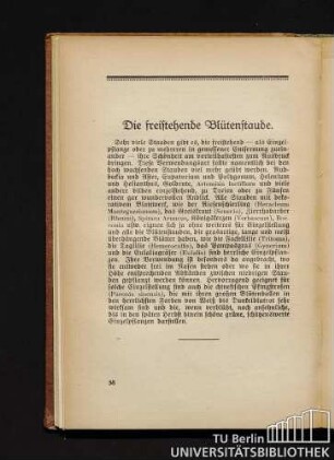 Die freistehende Blütenstaude.