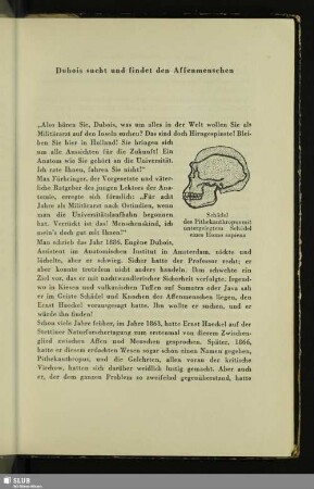 Dubois sucht und findet den Affenmenschen