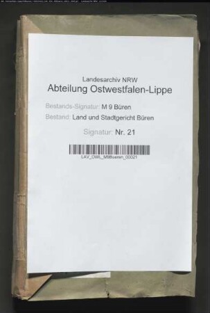 Handlungen der freiwilligen Gerichtsbarkeit (Actus voluntariae jurisdictionis): Handlungen der freiwilligen Gerichtsbarkeit