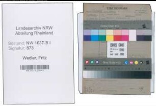 Entnazifizierung Fritz Wedler , geb. 29.07.1902 (Stadtinspektor)