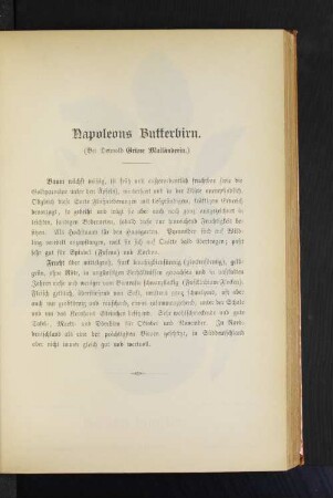 Napoleons Butterbirn. (Bei Detmold Grüne Mailänderin.)