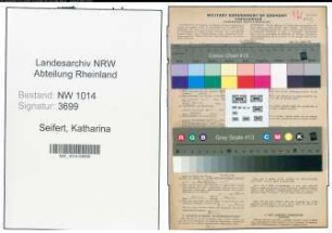 Entnazifizierung Katharina Seifert , geb. 31.03.1908 (Dioponentin)