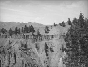 Basaltsäulen : Blick auf eine säulenförmige Basaltformation im Yellowstone Canyon.