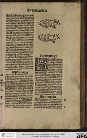 Capitulum xii.