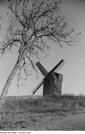 Windmühle