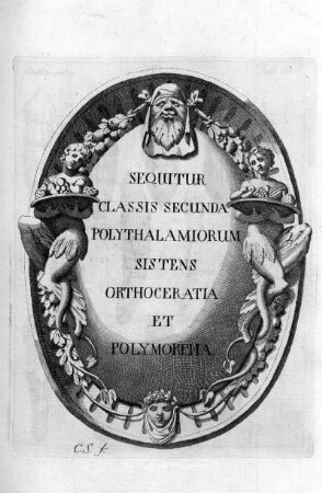 SEQUITUR CLASSIS SECUNDA POLYTHALAMIORUM SISTENS ORTHOCERATIA ET POLYMORPHA